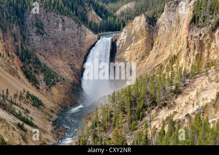 Le cascate inferiori, vista dal punto di osservazione, il Grand Canyon di Yellowstone River North Rim, il Parco Nazionale di Yellowstone, Wyoming USA Foto Stock