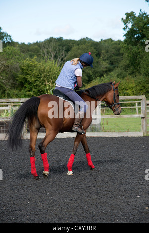 Donna ciclista esercita un cavallo in un paddock Foto Stock