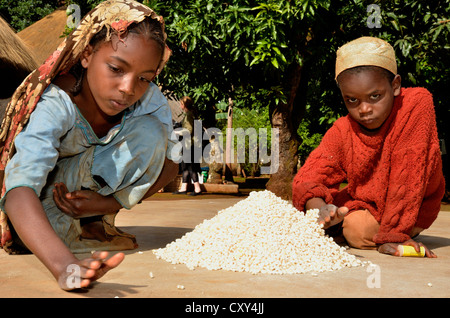 I bambini del villaggio di essiccazione Idool le loro colture, nei pressi di Ngaoundéré, Camerun, Africa centrale, Africa Foto Stock