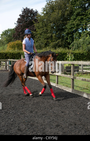 Donna ciclista esercita un cavallo in un paddock Foto Stock