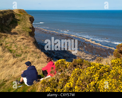 Gli scuotipaglia in appoggio su una scogliera sul modo di Cleveland sentiero costiero tra Robin Hood's Bay e di Whitby nel North Yorkshire England Regno Unito Foto Stock