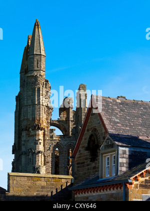 Dettaglio delle rovine di Whitby Abbey nel North Yorkshire England Regno Unito costruito nel 657 d.c. e disestablished 1538 Foto Stock