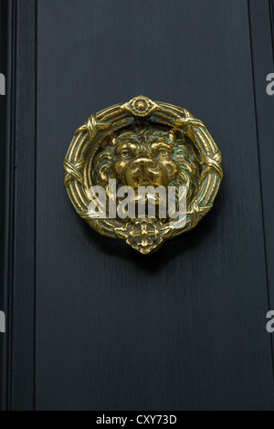 Un decorativo porta lion respingente in Charleston, Sc Foto Stock