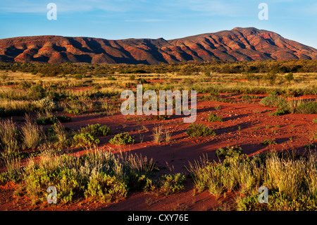 Western MacDonnell Ranges alla fine della giornata. Foto Stock