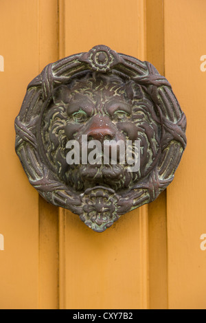 Un decorativo porta lion respingente in Charleston, Sc Foto Stock