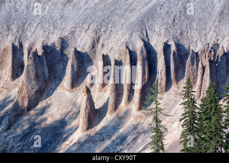 Formato vulcanica hoodoos emergono dalle pareti di Annie Creek Canyon in Oregon il parco nazionale di Crater Lake. Foto Stock