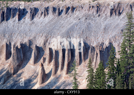 Formato vulcanica hoodoos emergono dalle pareti di Annie Creek Canyon in Oregon il parco nazionale di Crater Lake. Foto Stock