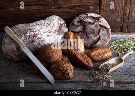 Forme di pane, panini e un coltello per pane di segale, grano e spighe di grano su un rustico di una superficie di legno Foto Stock