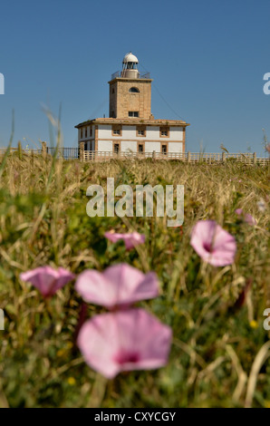 Faro sull isola di Tabarca, Isla de Tabarca, Costa Blanca, Spagna, Europa Foto Stock