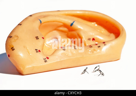 Ago di agopuntura per orecchio con modello orecchio Foto Stock