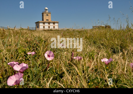 Faro sull isola di Tabarca, Isla de Tabarca, Costa Blanca, Spagna, Europa Foto Stock