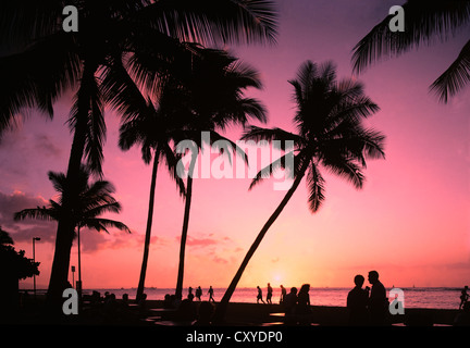 Thailandia. Isola di Phuket. Tramonto sul lungomare con le persone e con le palme profilarsi. Foto Stock