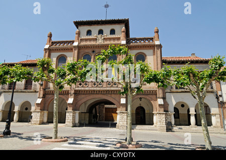 Town Hall, Coca, provincia di Segovia Castiglia e León, Spagna, Europa, PublicGround Foto Stock