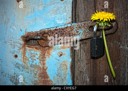 Chiuso la porta con un lucchetto Foto Stock