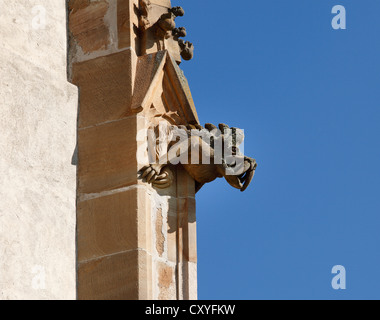 Doccioni sulla chiesa parrocchiale in stile gotico di 'Mary in Paradiso", San Marein vicino Knittelfeld, Stiria, Stiria, Austria, Europa Foto Stock