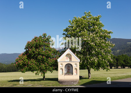 La cappella e la fioritura degli alberi di castagno, ippocastano (Aesculus hippocastanum) Prankh, comunità di San Marein vicino Knittelfeld Foto Stock