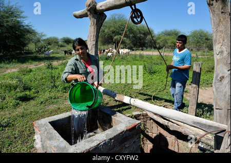 Agricoltore versando acqua da un pozzo in un bovino serbatoio di irrigazione, piccoli contadini, Gran Chaco, Santiago del Estero Provincia, Argentina Foto Stock