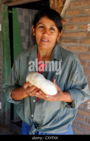 Donna che mantiene l'impasto per tortillas, Gran Chaco, Santiago del Estero Provincia, Argentina, Sud America Foto Stock