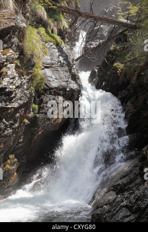 Una piccola cascata del Riesach creek, Riesach falls, Soelktaeler Natura Park, Schladminger Tauern, Stiria, Stiria Foto Stock