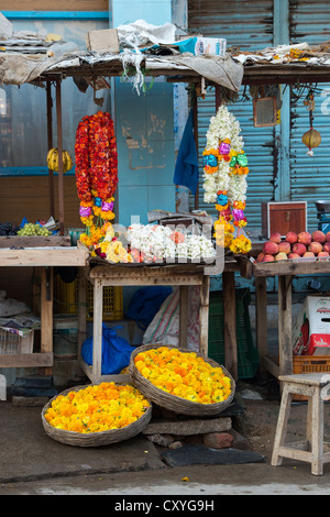 Calendula fiori e ghirlande su un indiano street stallo. Puttaparthi, Andhra Pradesh, India Foto Stock