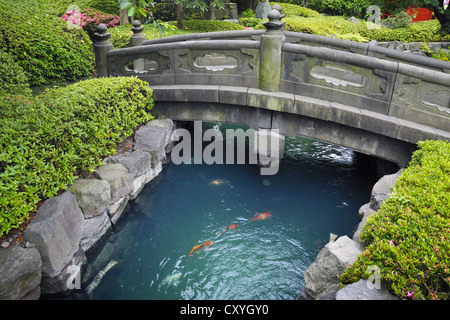 New Scenic 5 posti ponte di pietra sul blu acqua con pesci rossi in giapponese il giardino di pietra Foto Stock