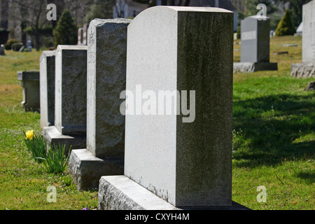 Lapidi in un cimitero in New Jersey Foto Stock