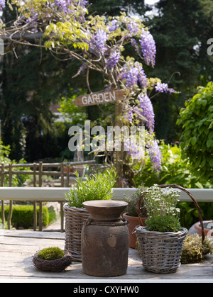 Still Life, vecchi vasi di ceramica e vasi di fiori realizzate in vimini in un romantico giardino Foto Stock