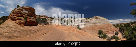 Onda, simile ad onda formazioni di pietra arenaria, la grande scala - Escalante, vicino a Boulder, Utah, Stati Uniti d'America Foto Stock