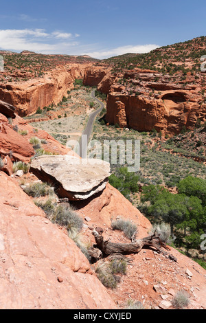 Red Canyon nel canyon lungo, Wingate arenaria del Glen Canyon Gruppo, Burr Trail Road, Utah, Stati Uniti d'America Foto Stock