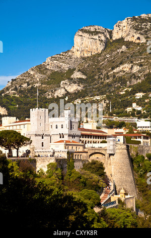 Il Palazzo del Principe in Le Rocher, Principato di Monaco, Europa Foto Stock