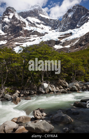 Fiume glaciale nella valle francese, vista del snow-capped Cordilera Paine Grande montagna, parco nazionale Torres del Paine Foto Stock