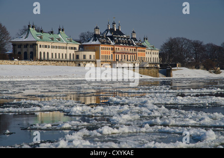 Il quasi congelate sul fiume Elba, un raro fenomeno che offre una vista spettacolare della città, Pillnitz, Dresda, Sassonia Foto Stock