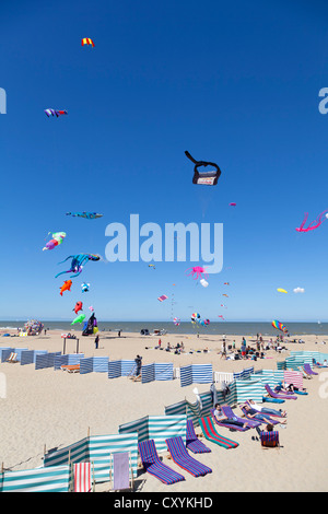 International Kite Festival a Ostenda, Belgio, Europa Foto Stock