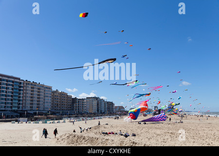 International Kite Festival a Ostenda, Belgio, Europa Foto Stock