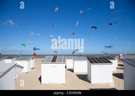 International Kite Festival a Ostenda, Belgio, Europa Foto Stock