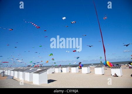 International Kite Festival a Ostenda, Belgio, Europa Foto Stock