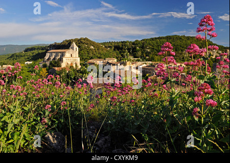 Villaggio di Saignon, dipartimento Vaucluse, Provence-Alpes-Côte d'Azur, in Francia, in Europa Foto Stock