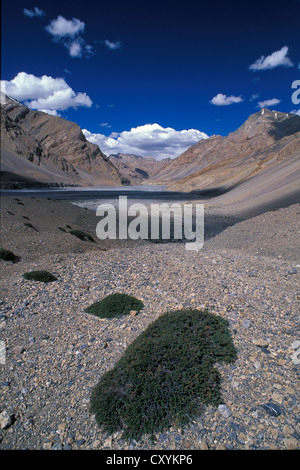 Pare Valle o Parù Chhu Valley vicino a Dutung, Kibber-Karzok-Trail, Himachal Pradesh, Himalaya indiano, Nord India, India, Asia Foto Stock