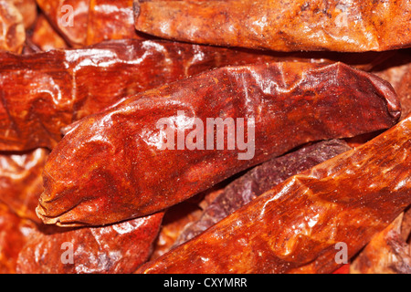 Grandi peperoncino (capsicum), essiccato a caldo chilis, dall' Indonesia Foto Stock