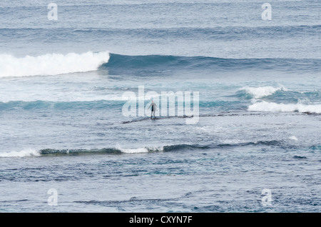 Un lone surfer passeggiate lungo la barriera corallina in attesa per una pausa nel surf a Surfers Point, Prevelly, Margaret River, Australia Foto Stock