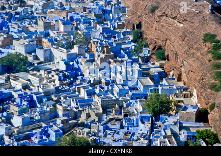 Case della 'Città blu' di Jodhpur, come si vede dal Meherangarh Fort, India, Asia Foto Stock