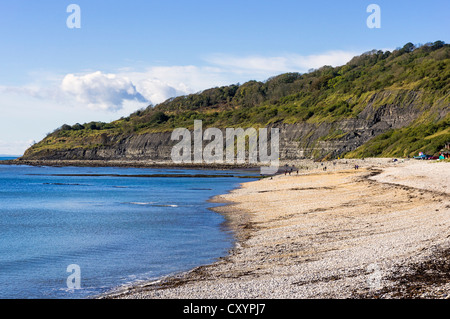 Il Undercliff e spiaggia a ovest di Lyme Regis town, Dorset, Regno Unito - una riserva naturale nazionale (NNR) Foto Stock