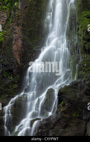 Burgbach cascata in Schapbach, Foresta Nera, Baden-Wuerttemberg Foto Stock