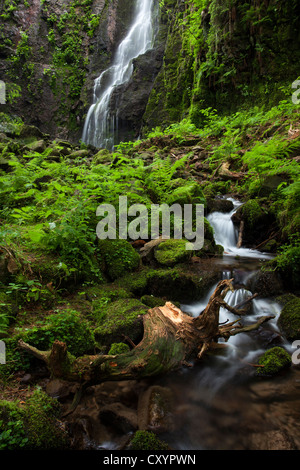 Burgbach cascata in Schapbach, Foresta Nera, Baden-Wuerttemberg Foto Stock