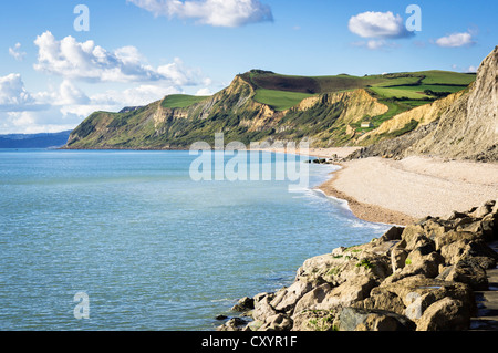 Vista lungo la Jurassic Coast - guardando dal West Bay, Dorset verso Charmouth bay, Dorset, Regno Unito Foto Stock