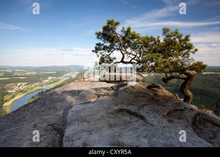 Vista da Lilienstein, una montagna della tavola nell'Elba montagne di arenaria, Sassonia Foto Stock
