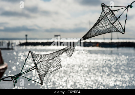 Trappola di pesce come un segno per i pescatori su una barca da pesca, Meclemburgo-Pomerania Occidentale Foto Stock