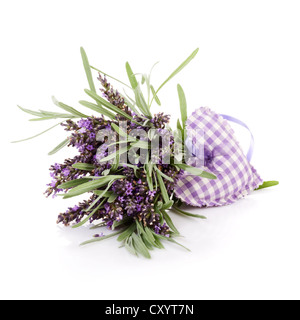 Freschi di fiori di lavanda e tessuto cuore su sfondo bianco Foto Stock