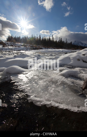 Ghiaccio, neve e acqua a cappello di congelamento Creek, St. Elias montagne, gamma Kluane dietro, Parco Nazionale Kluane e riserva Foto Stock
