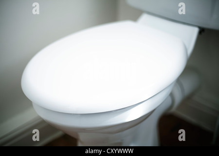 WC e sedile con messa a fuoco superficiale Foto Stock